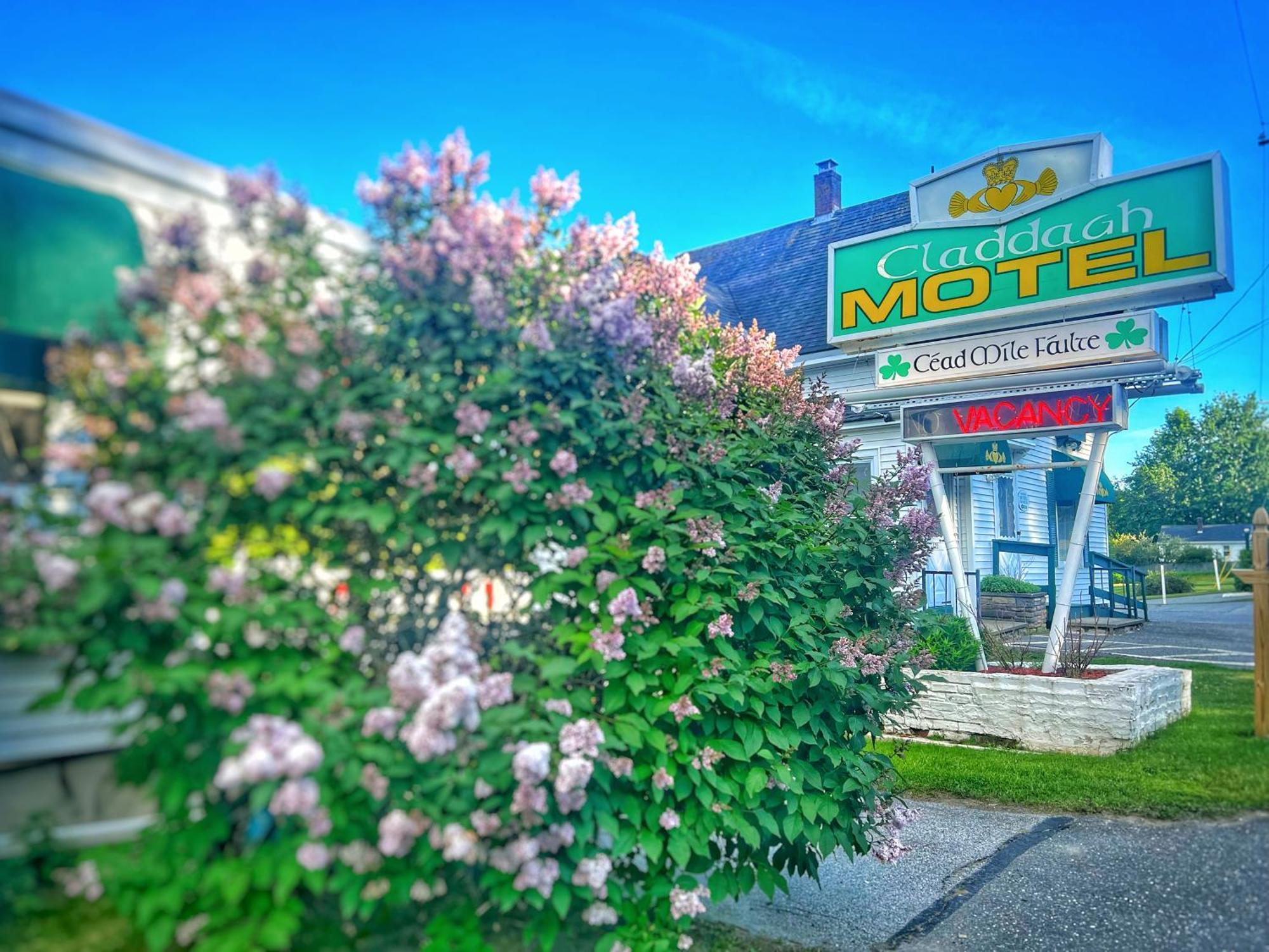 Claddagh Motel & Suites Rockport Bagian luar foto